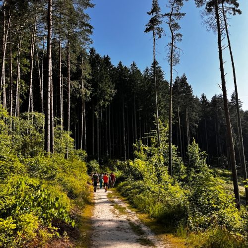 firmenjubilaeum-bauplanung-6